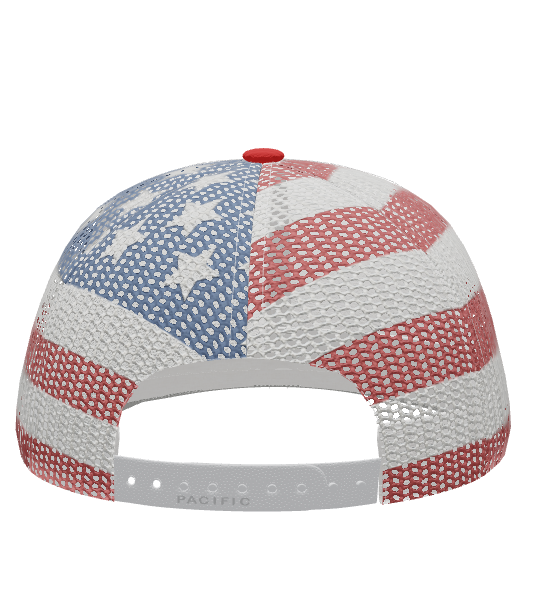 Skyridge White American Flag Snapback